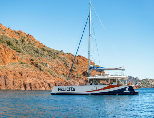 AMC Cape Grace – Felicita