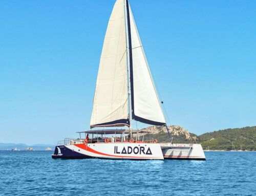 AMC Cape Grace – Iladora